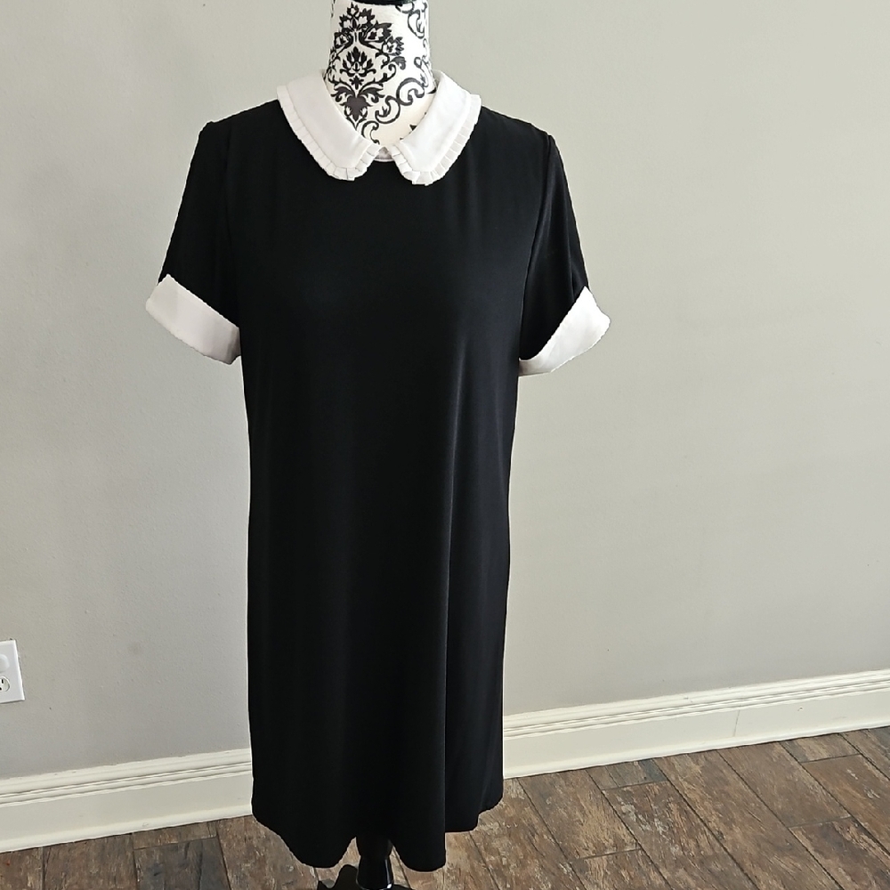 CeCe Black and White Dress Collar
